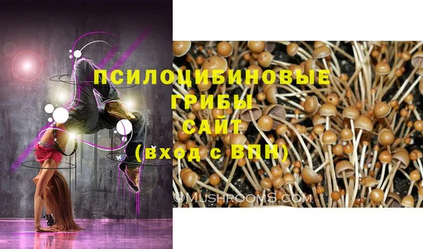 герыч Зеленокумск