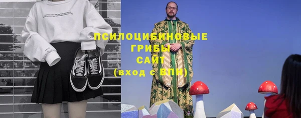 дживик Зерноград