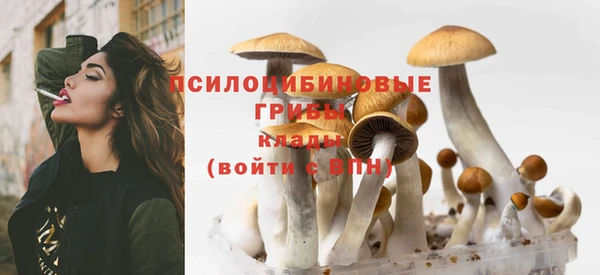 дживик Зерноград
