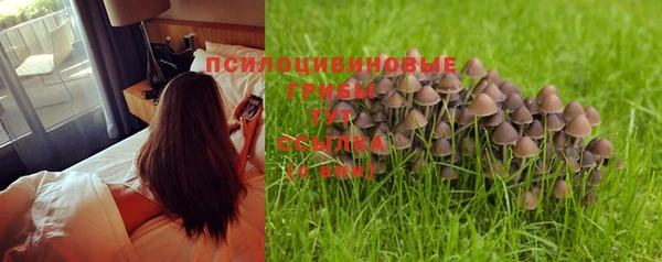 марки lsd Зеленодольск