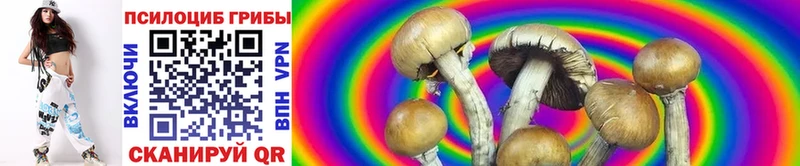Галлюциногенные грибы мухоморы  Купить закладки  Белоусово 